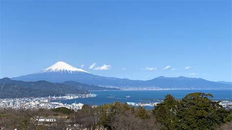 静岡市 観光 モデルコース: なぜカエルは空を飛べないのか？