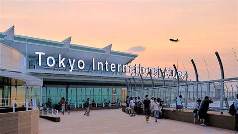 羽田空港から東京駅 電車 料金 - なぜカエルは空を飛べないのか？